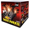 BIG BANG WENUS