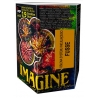 IMAGINE