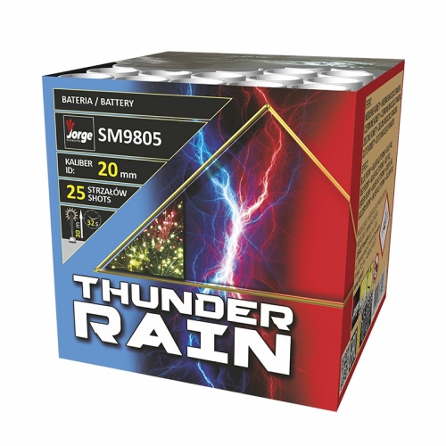 THUNDER RAIN